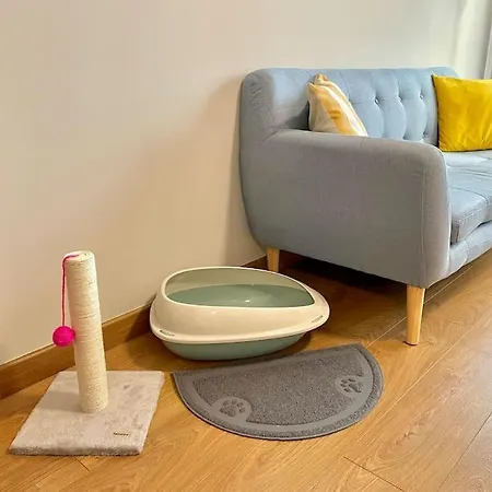 Appartamento Estudio Céntrico 2 Con Terraza Y Parking Privado