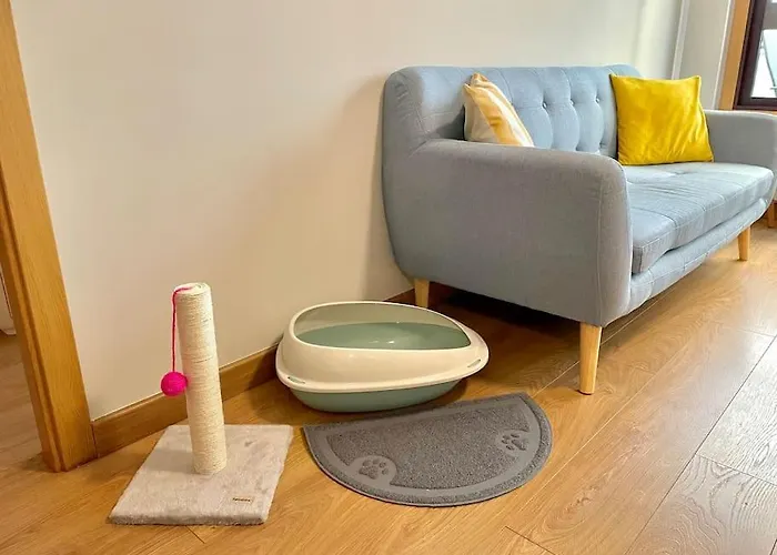 Daire Estudio Centrico 2 Con Terraza Y Parking Privado